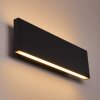 Obion Wall Light LED anthracite, 2-light sources