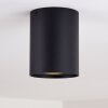 BETSIE Ceiling Light black, 1-light source