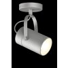 Mantra ARUBA Spotlight silver, 1-light source