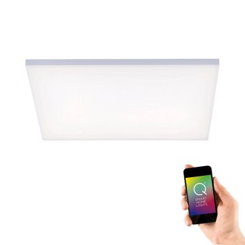 Paul Neuhaus Q-FLAG Ceiling light LED white, 1-light source, Remote control, Colour changer