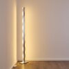 NAGOLD Floor Lamp LED chrome, matt nickel, 1-light source