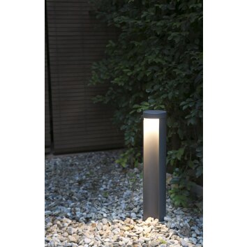 Faro Chandra pedestal light LED anthracite, 1-light source