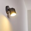Outdoor Wall Light Apenrader LED anthracite, 1-light source