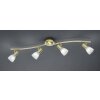 Trio LEVISTO ceiling spotlight LED brass, 4-light sources
