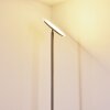 Wonsbek Floor Lamp LED matt nickel, 1-light source