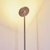 Wonsbek Floor Lamp LED matt nickel, 1-light source