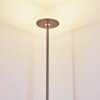 Wonsbek Floor Lamp LED matt nickel, 1-light source