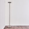 Wonsbek Floor Lamp LED matt nickel, 1-light source
