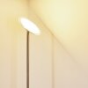 Wonsbek Floor Lamp LED matt nickel, 1-light source
