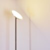 Wonsbek Floor Lamp LED matt nickel, 1-light source