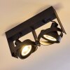 Grytgol Ceiling Light black, 2-light sources