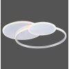 Paul Neuhaus EMILIO Ceiling Light LED silver, 1-light source, Remote control