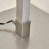 SOYO Floor Lamp LED matt nickel, 1-light source