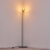 OKUDARI Floor Lamp gold, brass, black, 1-light source
