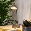 SHREVEPORT Table lamp LED anthracite, white, 1-light source