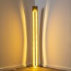 Petrolia floor lamp LED gold, 1-light source