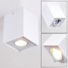 BETSIE Ceiling Light white, 1-light source