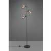 Trio TOSH Floor Lamp LED black, 3-light sources