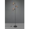 Trio TOSH Floor Lamp LED black, 3-light sources