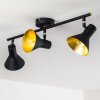 Mavas Ceiling Light black, 3-light sources