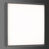 Outdoor Ceiling light LCD TYP 5060 LED black, 1-light source