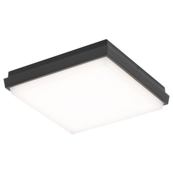 Outdoor Ceiling light LCD TYP 5060 LED black, 1-light source