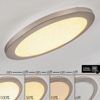FASOLA Ceiling light LED matt nickel, 1-light source