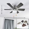 TRILLO ceiling fan grey, Light wood, matt nickel, 1-light source