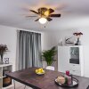 TRILLO ceiling fan grey, Light wood, matt nickel, 1-light source