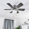 TRILLO ceiling fan grey, Light wood, matt nickel, 1-light source