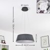 FREMONT Pendant Light LED grey, 1-light source, Remote control