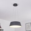 FREMONT Pendant Light LED grey, 1-light source, Remote control