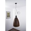 Masterlight Industria 10 pendant light black, 1-light source