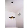 Globo KNUD hanging light black-gold, 1-light source