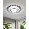 EGLO ARAPILES Ceiling Light LED white, 1-light source