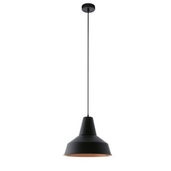 Eglo SOMERTON hanging light copper, black, 1-light source