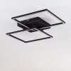 CHEKA Ceiling Light LED black, 2-light sources, Remote control