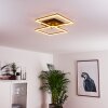 CHEKA Ceiling Light LED black, 2-light sources, Remote control