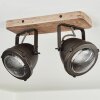 Ceiling Light Glostrup brown, stainless steel, 2-light sources