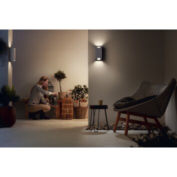 Philips TROWEL Outdoor Wall Light chrome, 2-light sources